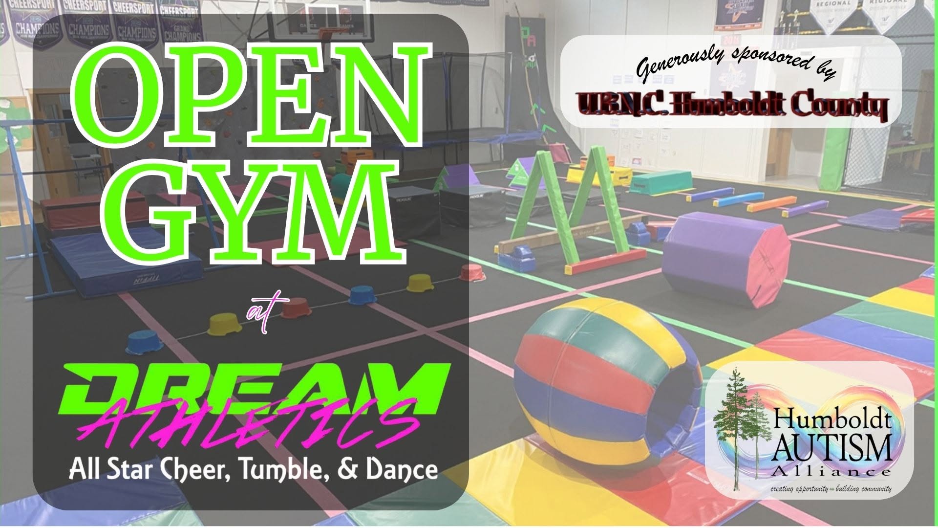 Dream Athletics Open Gym Event Image